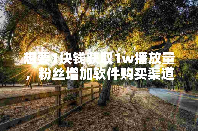 想要1块钱获取1w播放量，粉丝增加软件购买渠道有哪些？