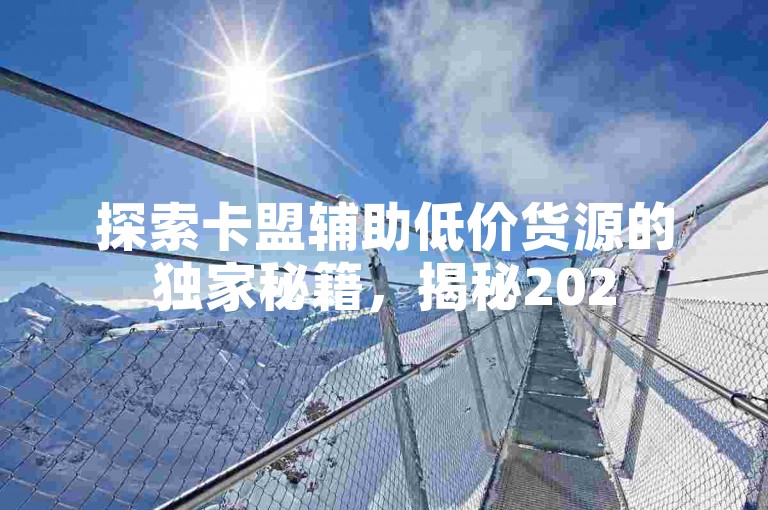 探索卡盟辅助低价货源的独家秘籍，揭秘2025年必备的优惠资源！