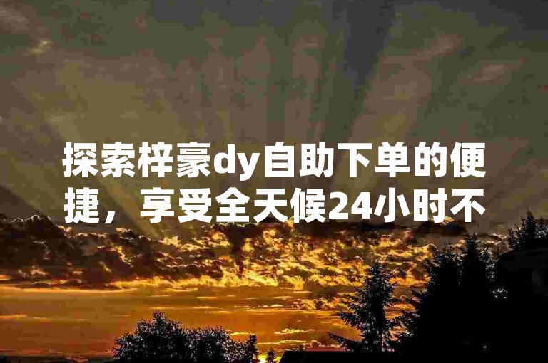 探索梓豪dy自助下单的便捷，享受全天候24小时不间断的服务，让业务增长更高效！
