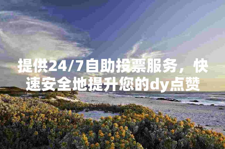 提供24/7自助投票服务,快速安全地提升您的dy点赞数。