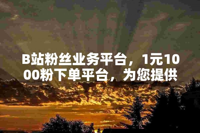 B站粉丝业务平台，1元1000粉下单平台，为您提供高效、实惠的粉丝增长服务。