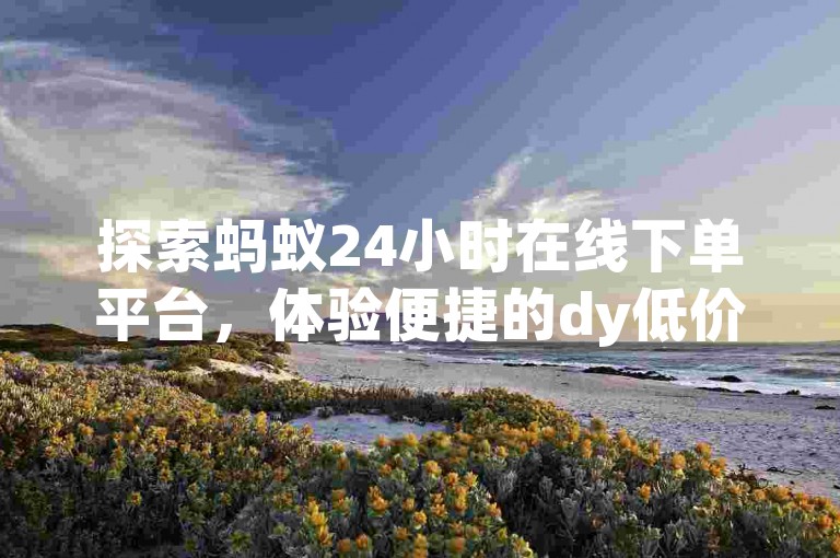 探索蚂蚁24小时在线下单平台，体验便捷的dy低价服务，快速入口等你来发现。