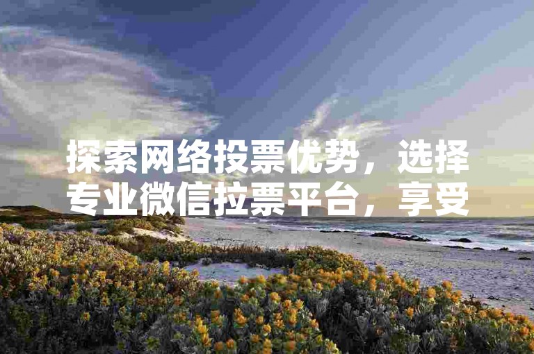 探索网络投票优势，选择专业微信拉票平台，享受低价点赞服务，提升您的影响力。