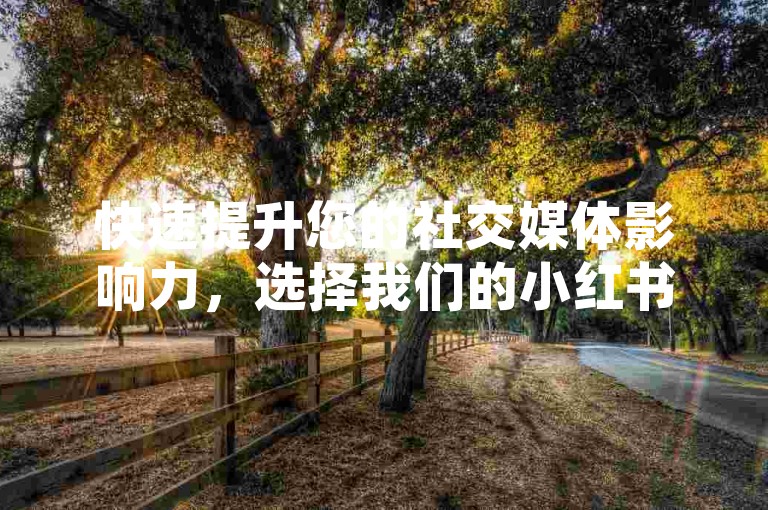 快速提升您的社交媒体影响力，选择我们的小红书24小时自助业务平台，安全高效地增加真实粉丝。