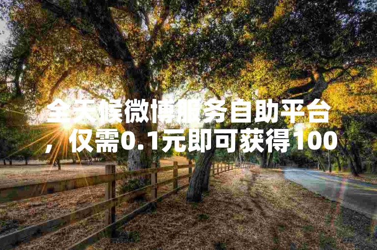 全天候微博服务自助平台，仅需0.1元即可获得10000个赞，快速提升您的社交媒体影响力。