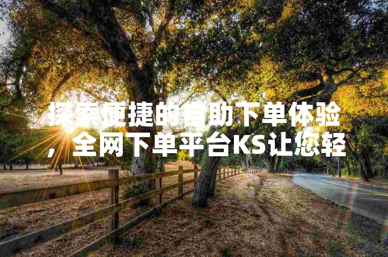 探索便捷的自助下单体验，全网下单平台KS让您轻松管理订单。