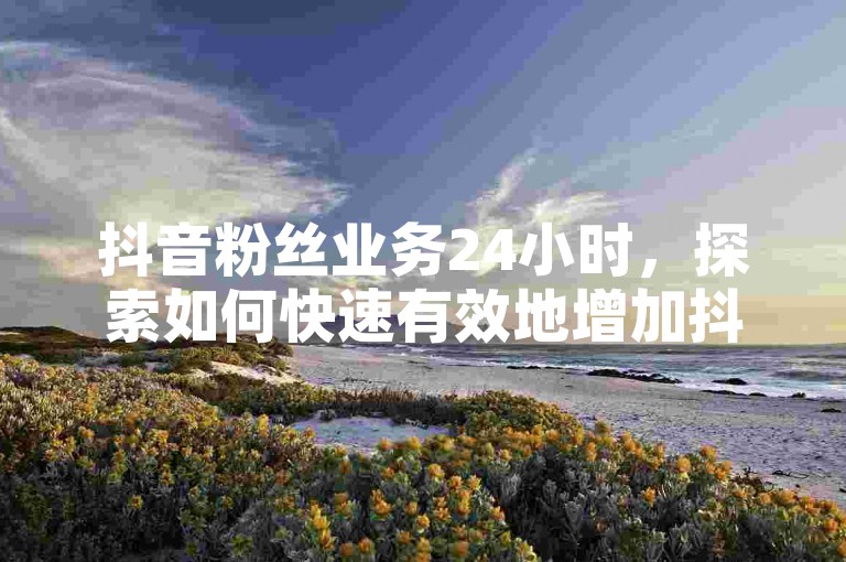 抖音粉丝业务24小时,探索如何快速有效地增加抖音粉丝数量。