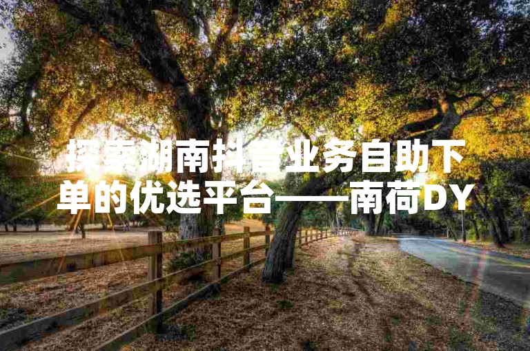 探索湖南抖音业务自助下单的优选平台——南荷DY，享受高效便捷的低价服务体验。