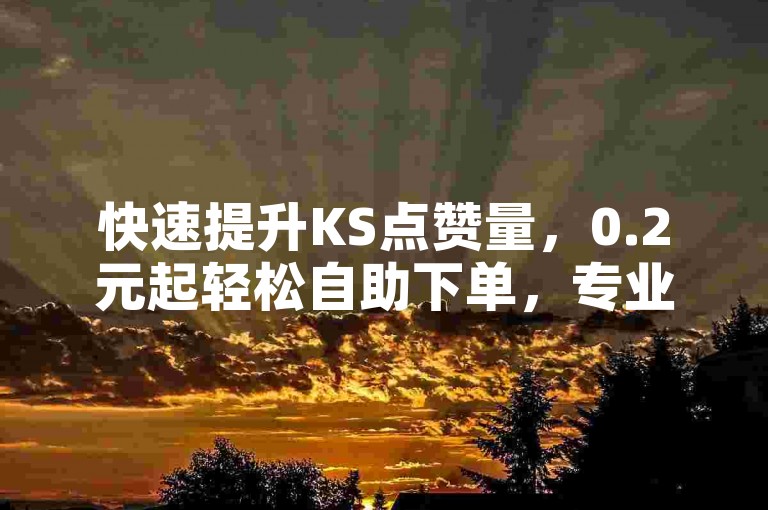 快速提升KS点赞量，0.2元起轻松自助下单，专业KS业务区助你涨赞无忧。