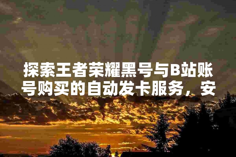 探索王者荣耀黑号与B站账号购买的自动发卡服务，安全快捷获取您的专属游戏资源。