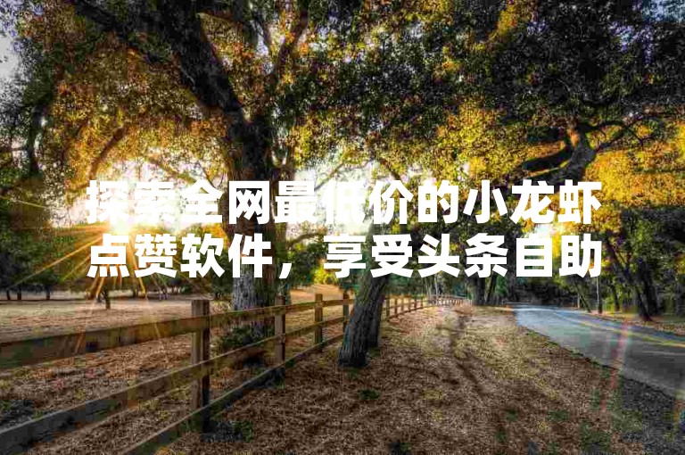 探索全网最低价的小龙虾点赞软件，享受头条自助下单的便捷服务。