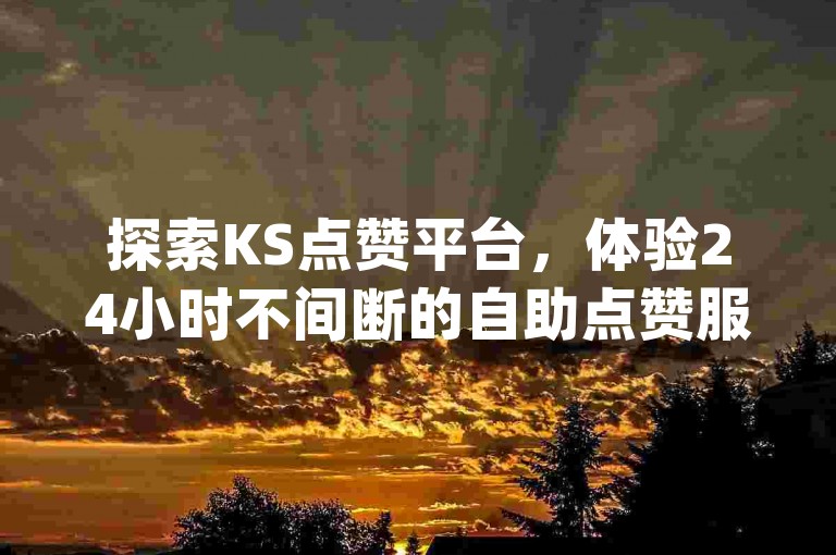 探索KS点赞平台，体验24小时不间断的自助点赞服务，以及全网最具性价比的dy业务，让您的社交媒体影响力飞跃增长。
