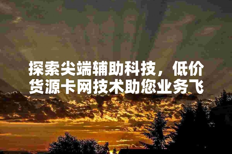 探索尖端辅助科技，低价货源卡网技术助您业务飞跃。