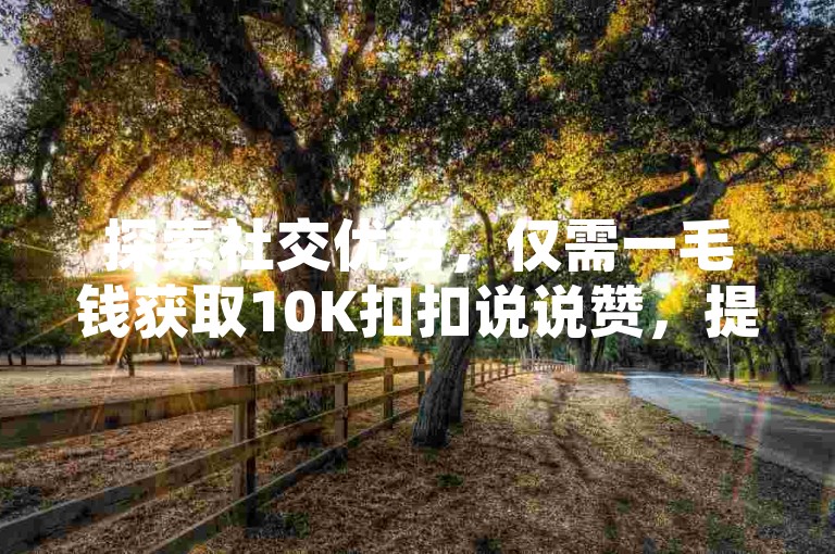 探索社交优势，仅需一毛钱获取10K扣扣说说赞，提升你的在线影响力！