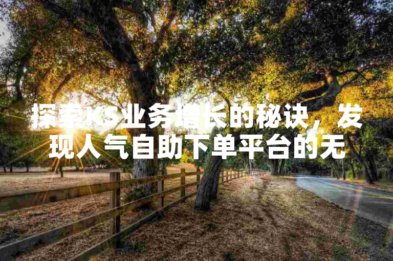 探索KS业务增长的秘诀，发现人气自助下单平台的无限潜力。