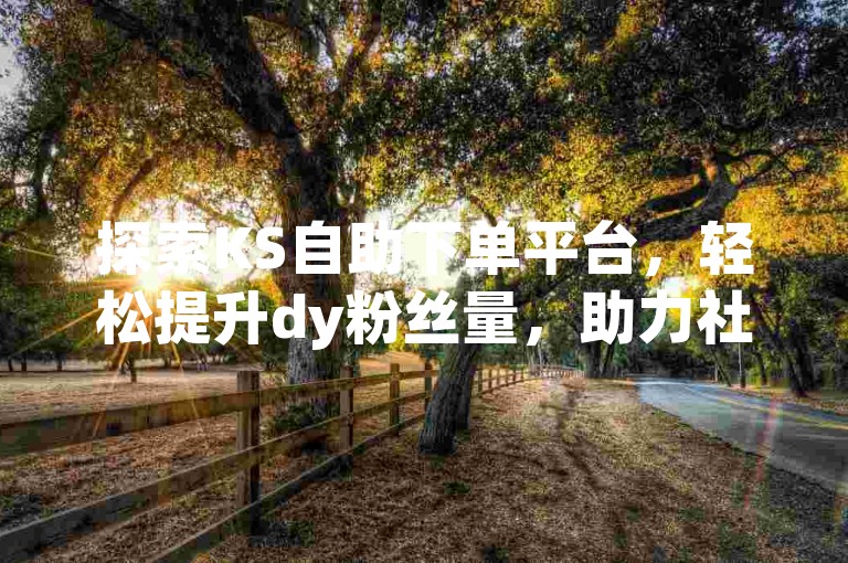 探索KS自助下单平台，轻松提升dy粉丝量，助力社交媒体影响力飞跃。