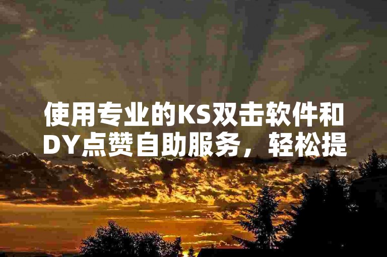 使用专业的KS双击软件和DY点赞自助服务，轻松提升您的社交媒体影响力。