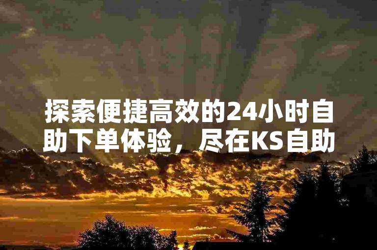探索便捷高效的24小时自助下单体验，尽在KS自助下单商城与卡盟平台。