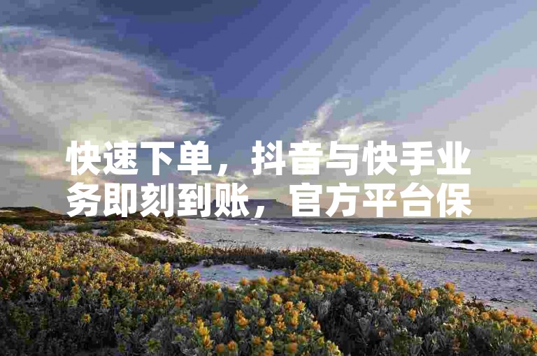 快速下单,抖音与快手业务即刻到账,官方平台保障交易安全。