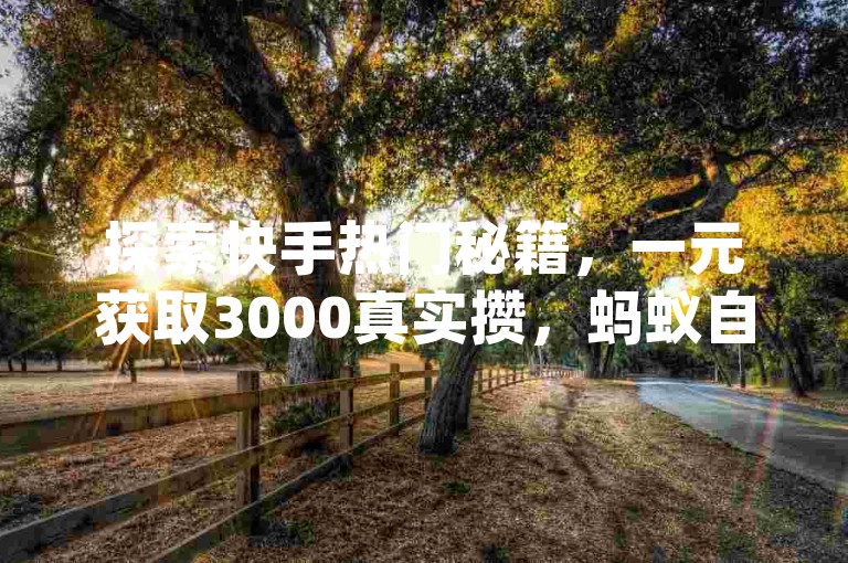 探索快手热门秘籍，一元获取3000真实攒，蚂蚁自助下单平台让dy业务轻松达成！