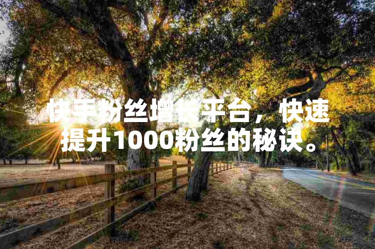 快手粉丝增长平台,快速提升1000粉丝的秘诀。