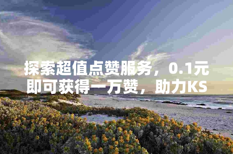 探索超值点赞服务，0.1元即可获得一万赞，助力KS红心飙升！