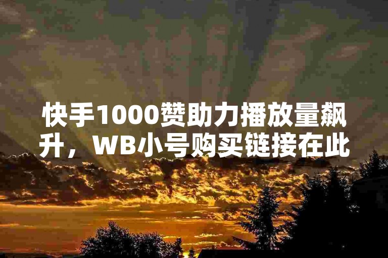 快手1000赞助力播放量飙升,WB小号购买链接在此!