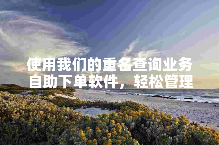 使用我们的重名查询业务自助下单软件，轻松管理您的订单并提升工作效率。