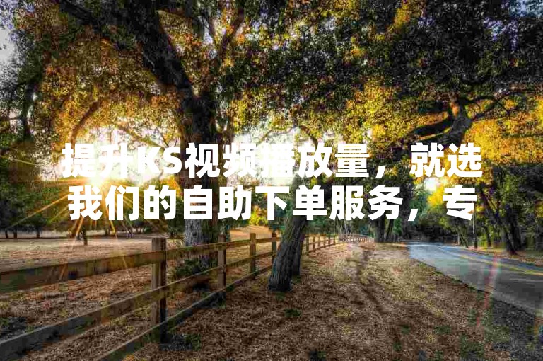 提升KS视频播放量，就选我们的自助下单服务，专业高效，双击点赞轻松搞定！