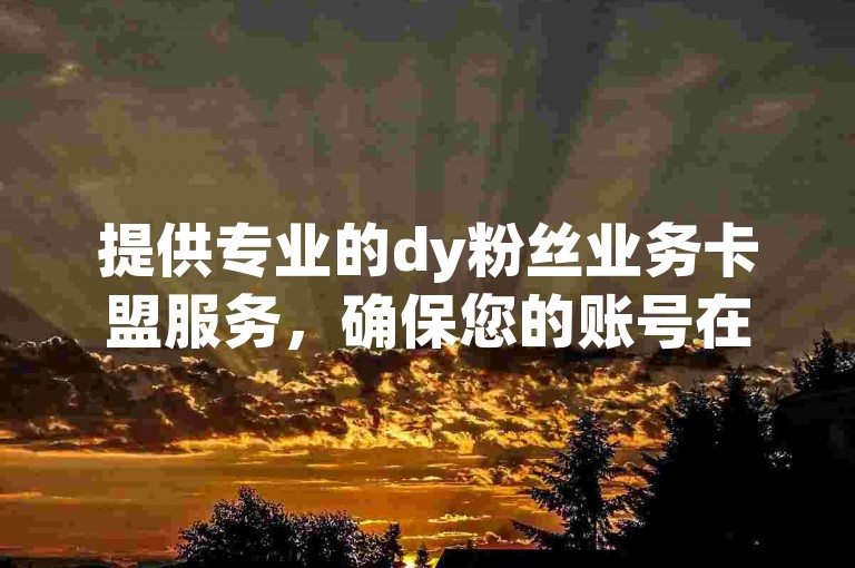 提供专业的dy粉丝业务卡盟服务，确保您的账号在IOS89.37.130系统下获得稳定增长。