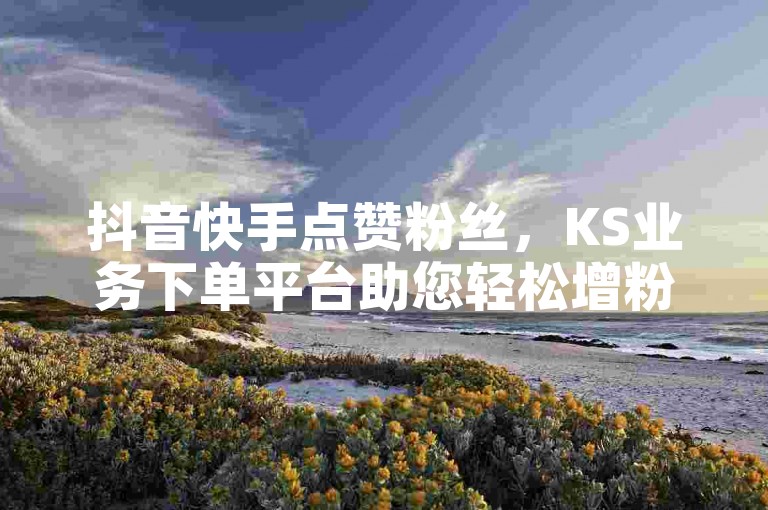 抖音快手点赞粉丝，KS业务下单平台助您轻松增粉，提升影响力。