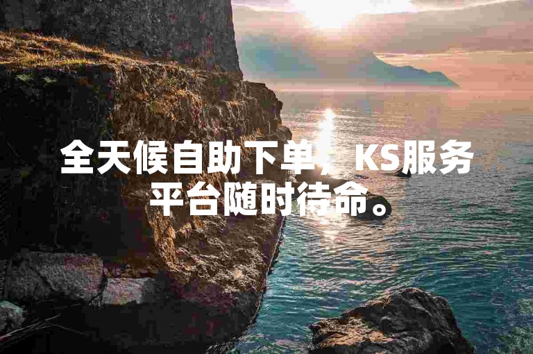 全天候自助下单，KS服务平台随时待命。