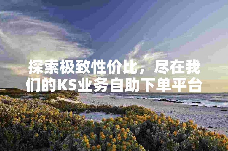 探索极致性价比，尽在我们的KS业务自助下单平台，全天候快手自助服务，尊享不间断的低价优惠。