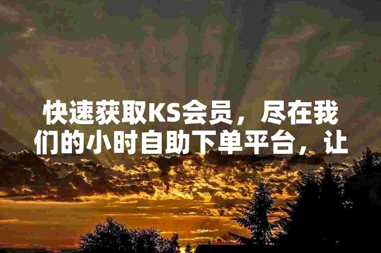 快速获取KS会员，尽在我们的小时自助下单平台，让快手体验更加畅快。
