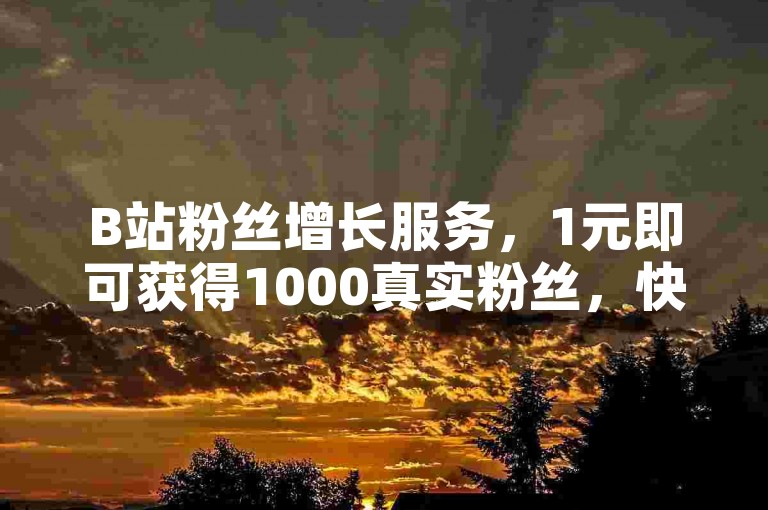 B站粉丝增长服务，1元即可获得1000真实粉丝，快速提升账号影响力！