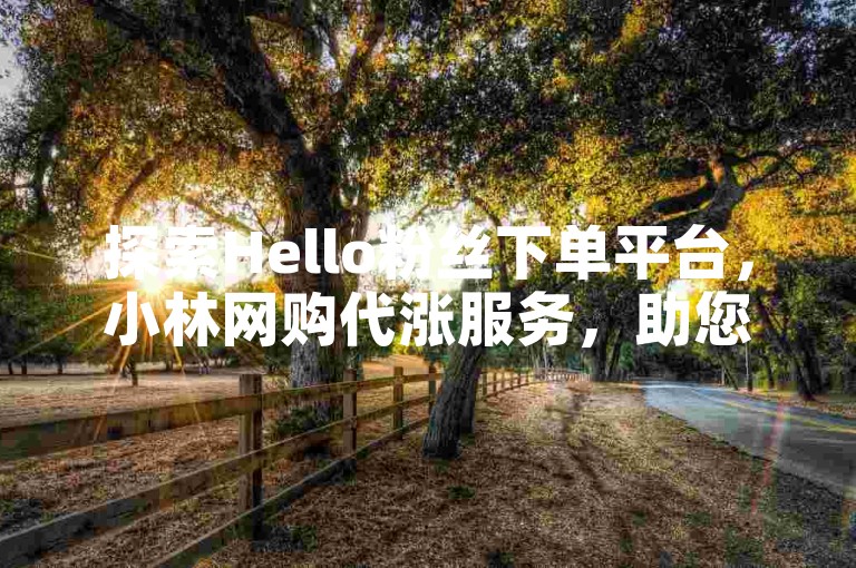 探索Hello粉丝下单平台，小林网购代涨服务，助您轻松提升电商销量。