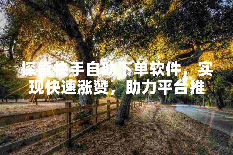 探索快手自助下单软件，实现快速涨赞，助力平台推广，提升KS影响力。