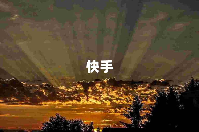 快手5996交易平台，全天候自助下单服务网站，便捷高效。