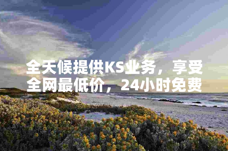 全天候提供KS业务，享受全网最低价，24小时免费下单服务。