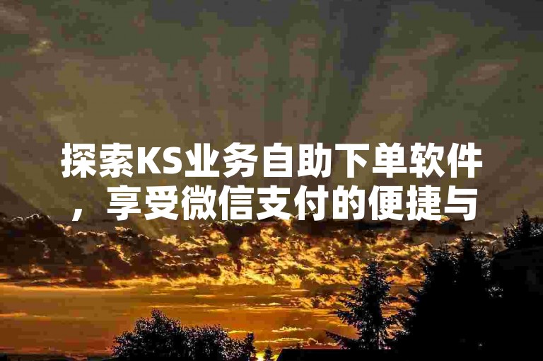 探索KS业务自助下单软件,享受微信支付的便捷与最低价优惠。