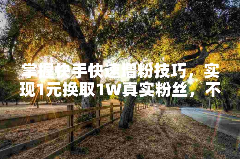 掌握快手快速增粉技巧，实现1元换取1W真实粉丝，不掉粉的秘诀，助新人快速成长！