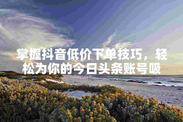 掌握抖音低价下单技巧，轻松为你的今日头条账号吸引1000粉丝。