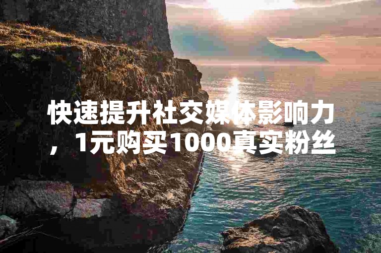 快速提升社交媒体影响力，1元购买1000真实粉丝，点赞自助下单，立即增强您的在线可见度！