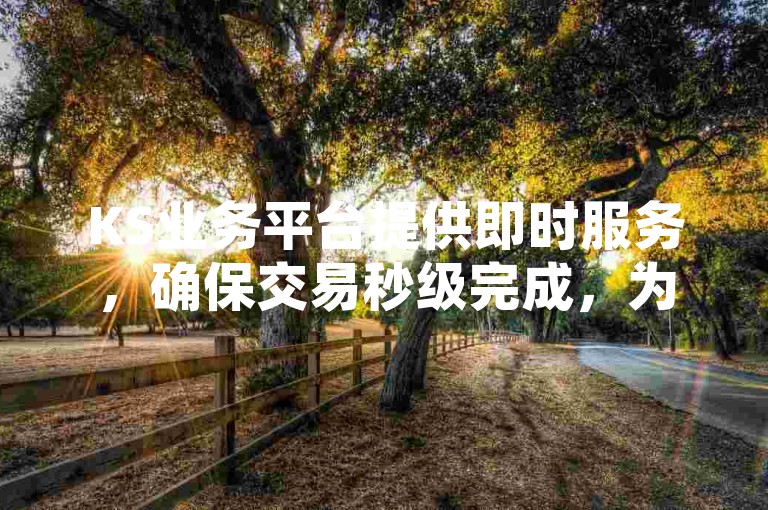KS业务平台提供即时服务，确保交易秒级完成，为用户带来极速体验。