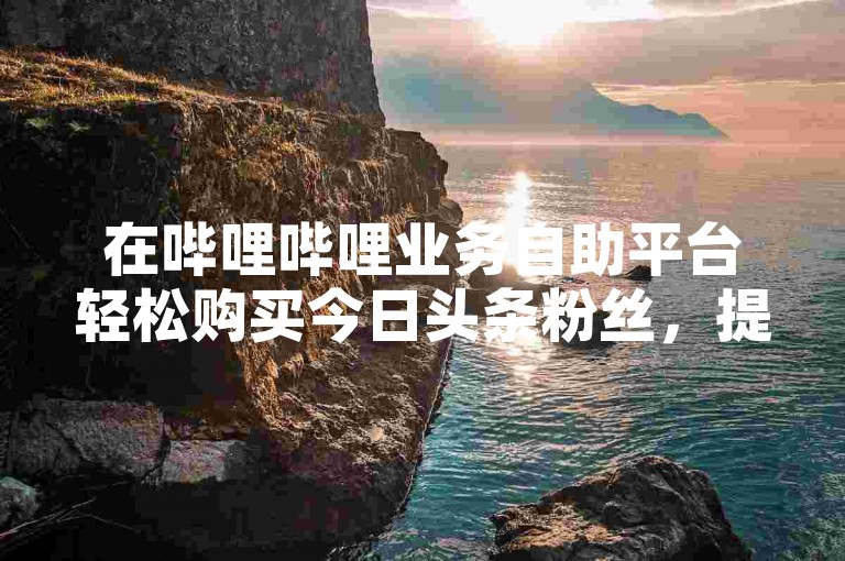 在哔哩哔哩业务自助平台轻松购买今日头条粉丝，提升您的社交媒体影响力。