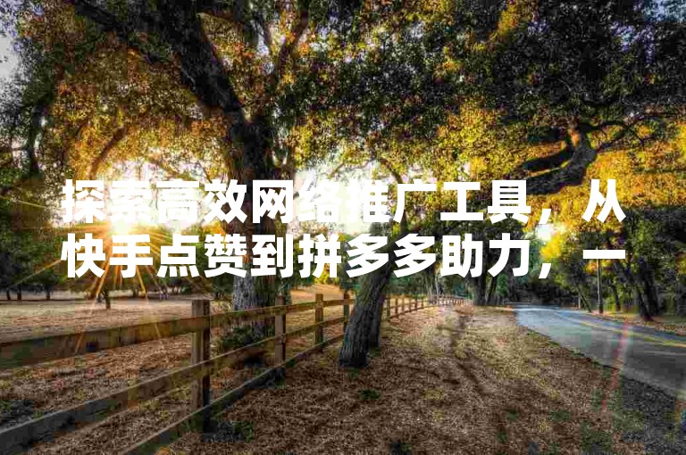 探索高效网络推广工具,从快手点赞到拼多多助力,一站式解决方案等你来发现。