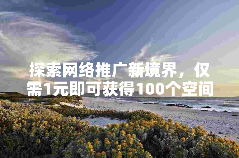 探索网络推广新境界，仅需1元即可获得100个空间访客量，自助下单平台等你来体验，百度搜索在线刷空间访客立即开启您的人气之旅。