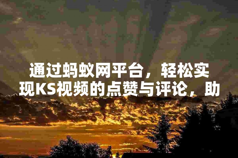 通过蚂蚁网平台，轻松实现KS视频的点赞与评论，助力内容热度飙升。