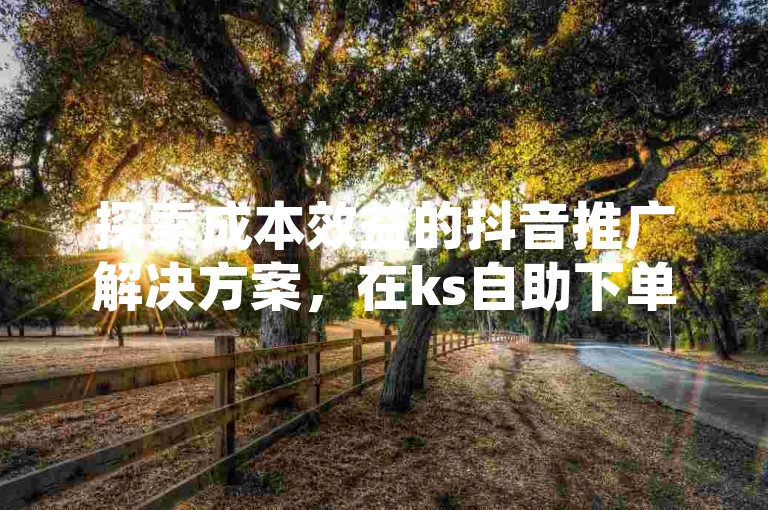 探索成本效益的抖音推广解决方案，在ks自助下单平台轻松实现业务增长。