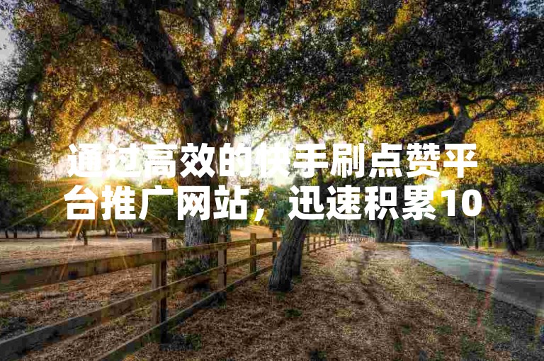 通过高效的快手刷点赞平台推广网站，迅速积累1000粉丝不再是难题。